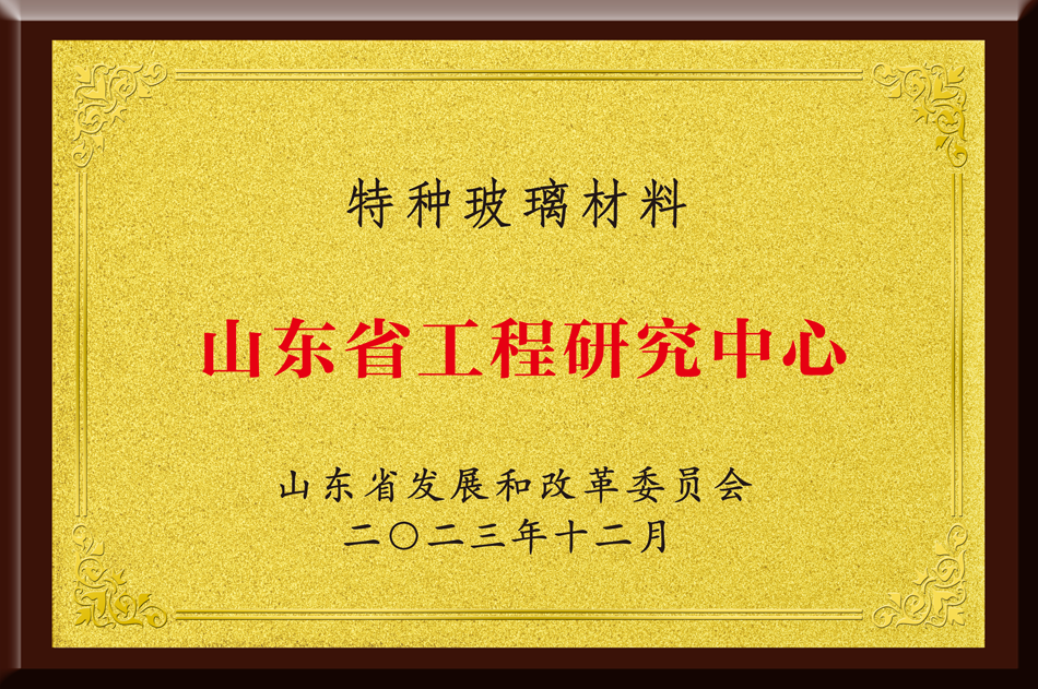 山东省工程研究中心